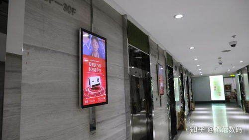 看中公寓電梯廣告上的一個廣告,我決定買它