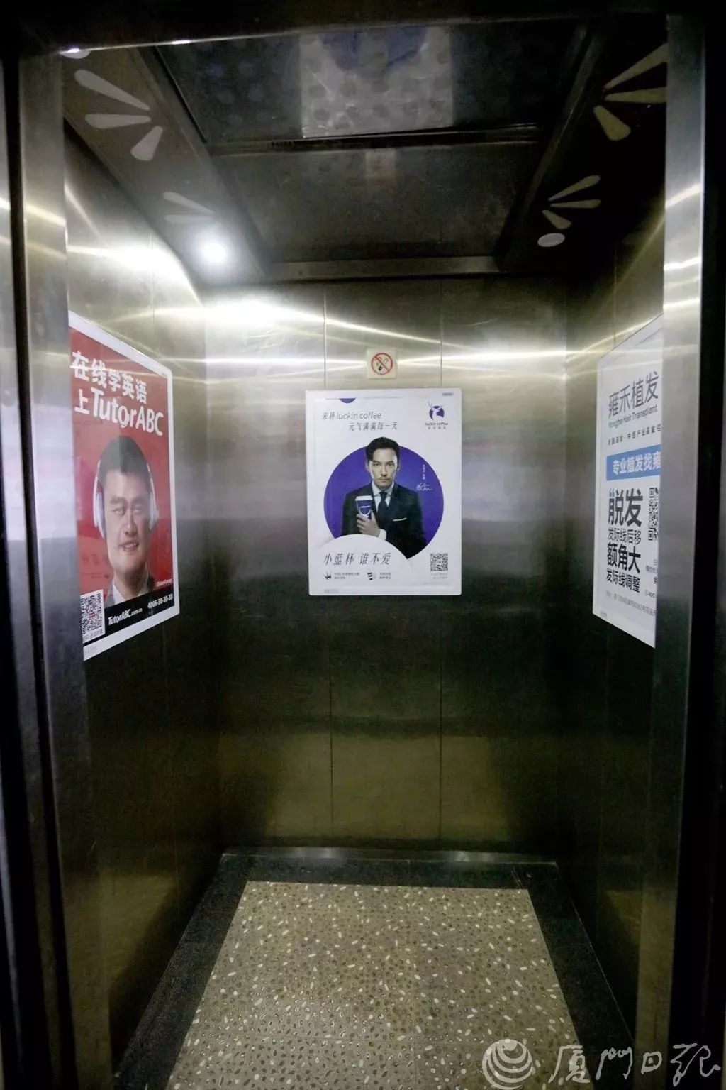 電梯廣告亂象 從便民到擾民，公益幌子下的視覺污染